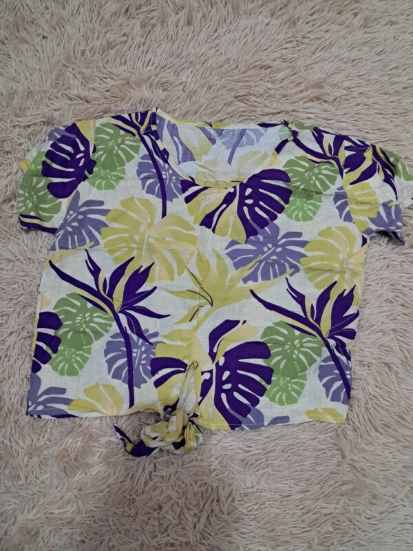 Blusa
